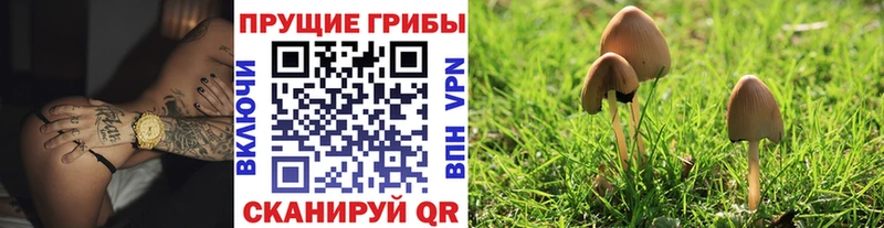 Купить где  Серафимович  Галлюциногенные грибы мухоморы 